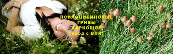 мет Аркадак